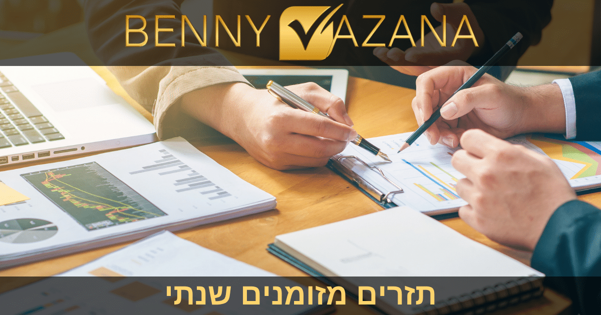 בני וזנה תזרים מזומנים שנתי
